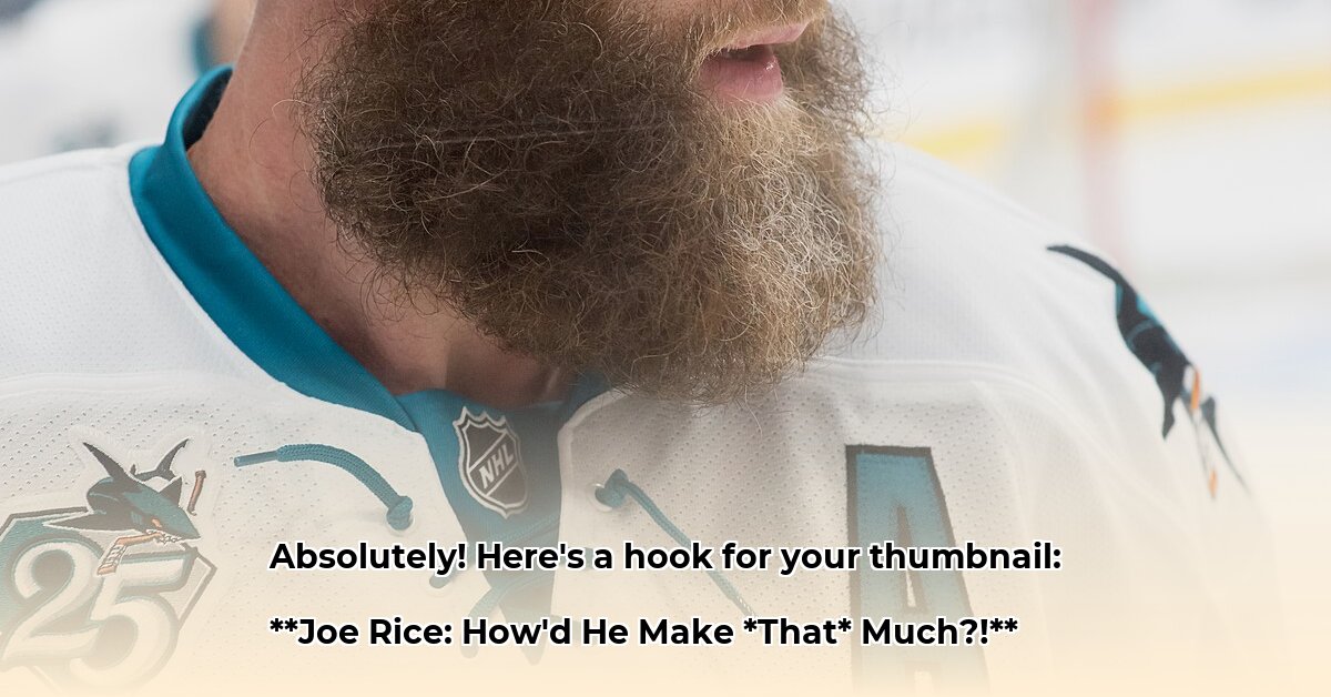 joe-rice-lawyer-net-worth